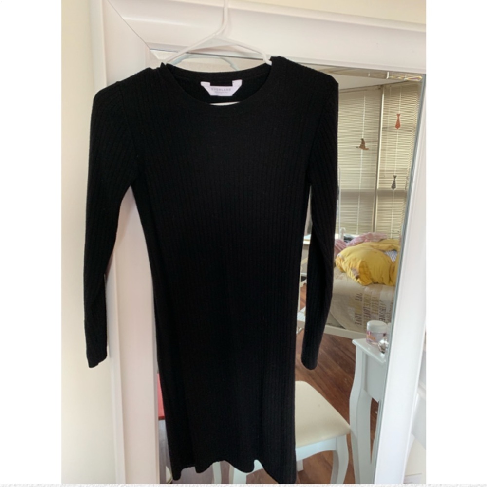 Everlane sweater dress